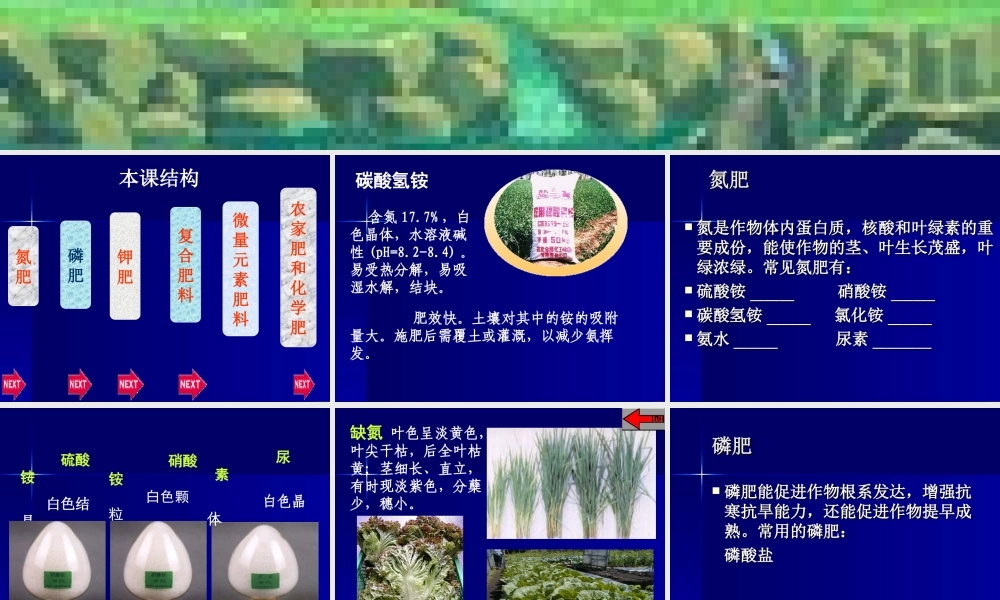 九年级化学下册化学肥料课件粤教版 课件