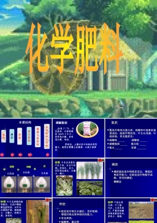 九年级化学下册化学肥料课件粤教版 课件