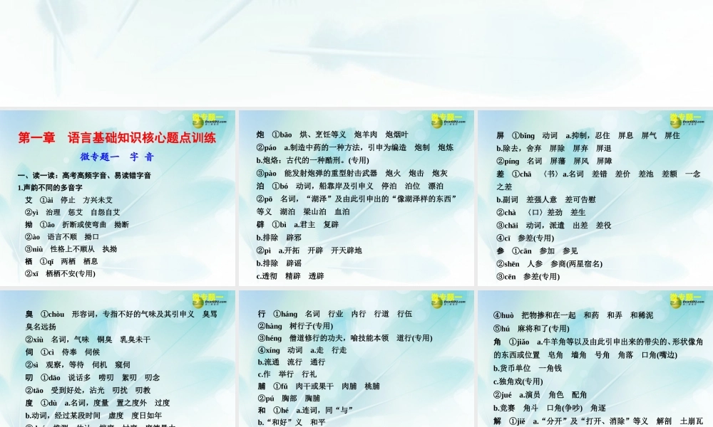 (浙江专用)高考语文二轮复习 考前三个月 第二部分  第一章  微专题一 字音配套课件