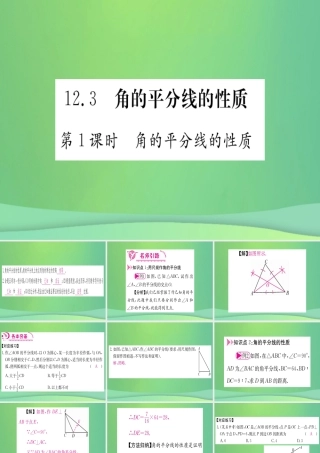 (江西专用)八年级数学上册 第12章 全等三角形 12.3 角的平分线的性质 第1课时 角的平分线的性质作业课件 (新版)新人教版 课件