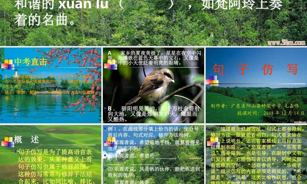 中考语文专题积累运用课件 句子仿写 人教版 课件