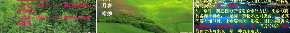 中考语文专题积累运用课件 句子仿写 人教版 课件