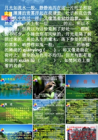 中考语文专题积累运用课件 句子仿写 人教版 课件