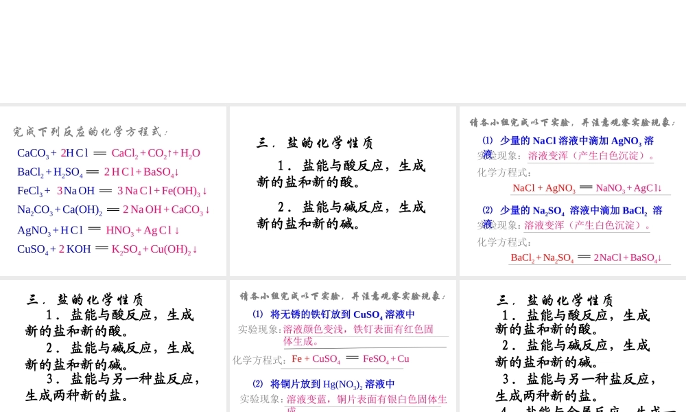 九年级化学 常用的盐课题盐的化学课件