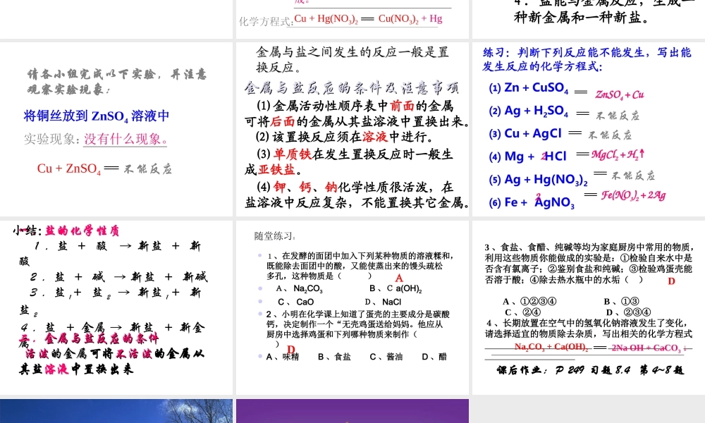九年级化学 常用的盐课题盐的化学课件