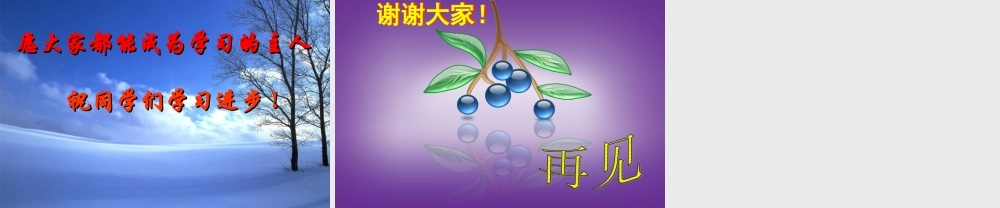 九年级化学 常用的盐课题盐的化学课件