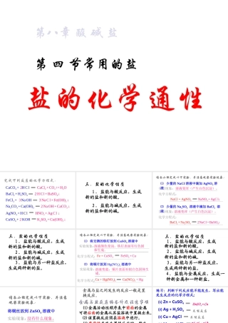 九年级化学 常用的盐课题盐的化学课件