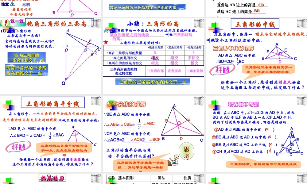 7.1.2三角形的高、中线与角平分线 七年级数学第七章课件集 新课标 人教版