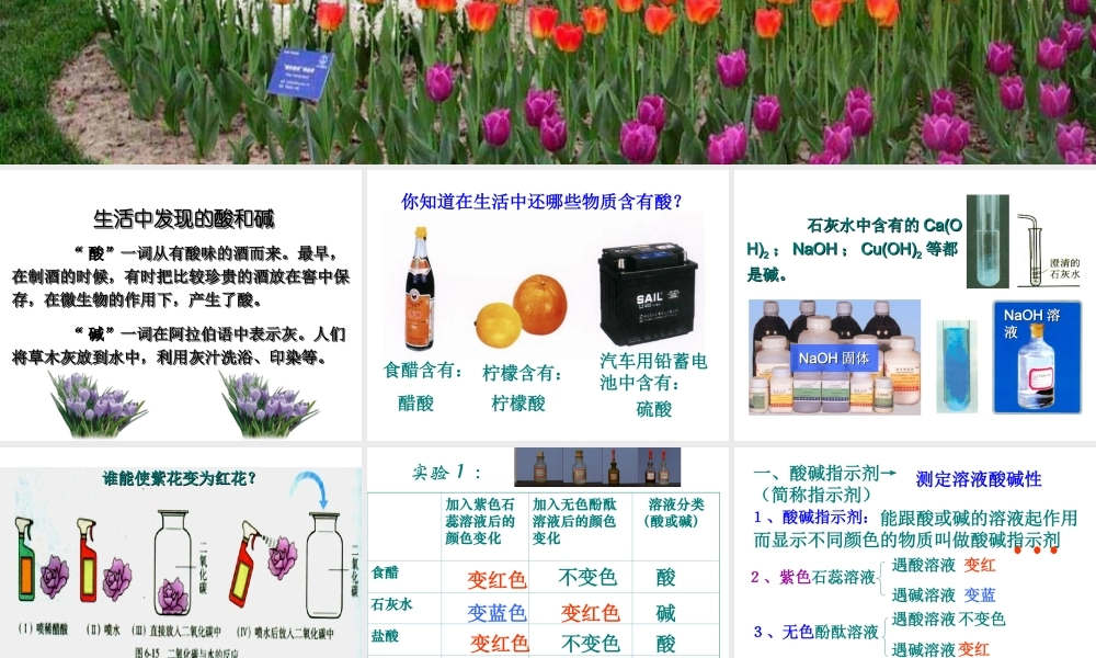 九年级化学第十单元第一节常见的酸和碱课件全国通用 课件