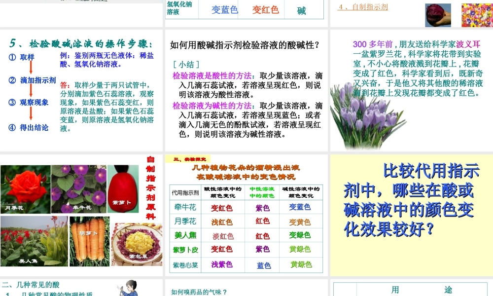 九年级化学第十单元第一节常见的酸和碱课件全国通用 课件