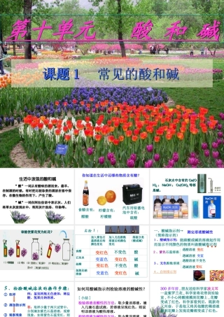 九年级化学第十单元第一节常见的酸和碱课件全国通用 课件