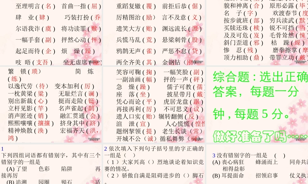 中考语文复习课件错别字练习 课件