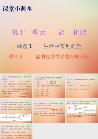 九年级化学下册 第十一单元 盐 化肥 课题1 生活中常见的盐 课时2 盐的化学性质复分解反应(小测本)课件 (新版)新人教版 课件