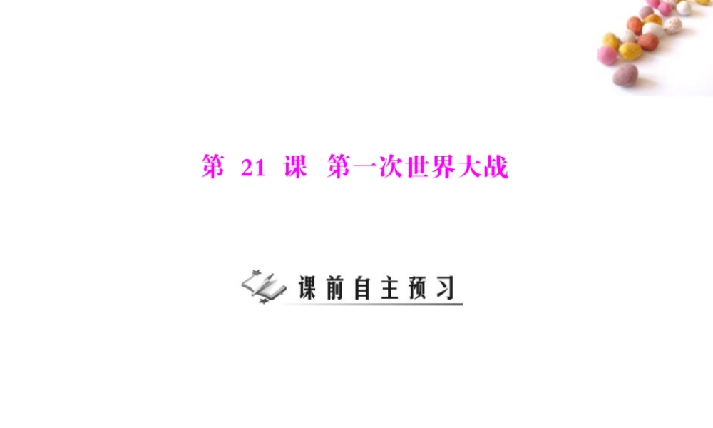 九年级历史上册 第七单元 第21课 第一次世界大战 配套课件 人教新课标版 课件