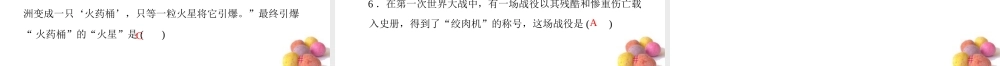 九年级历史上册 第七单元 第21课 第一次世界大战 配套课件 人教新课标版 课件