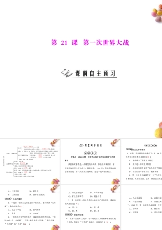九年级历史上册 第七单元 第21课 第一次世界大战 配套课件 人教新课标版 课件