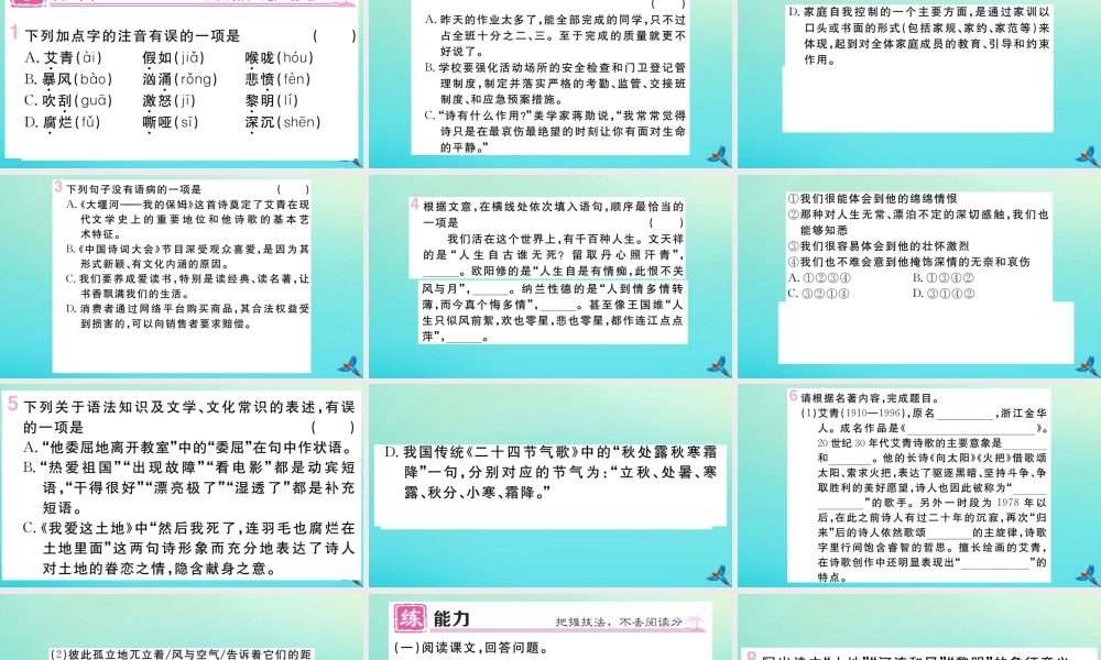 (黄冈专版)九年级语文上册 第一单元 2 我爱这土地作业课件 新人教版 课件
