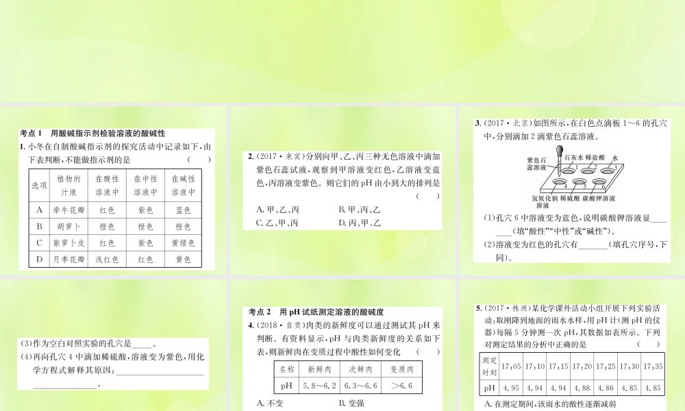 九年级化学下册 第十单元 酸和碱 实验活动7 溶液酸碱性的检验复习课件 (新版)新人教版 课件