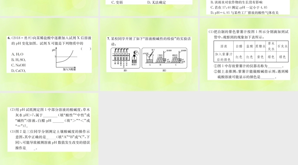 九年级化学下册 第十单元 酸和碱 实验活动7 溶液酸碱性的检验复习课件 (新版)新人教版 课件