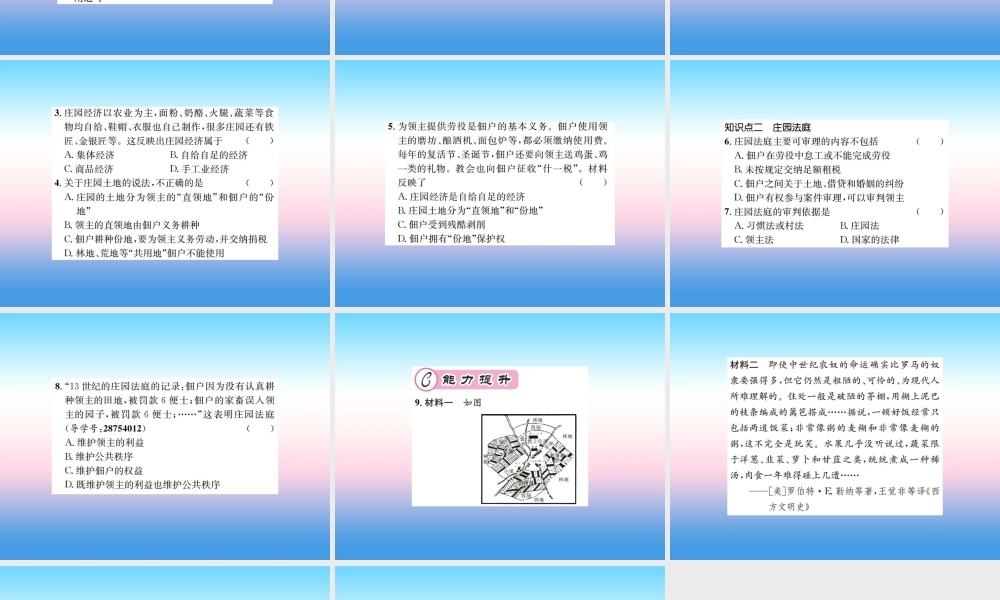 九年级历史上册 第3单元 封建时代的欧洲 第8课 西欧庄园作业课件 新人教版 课件