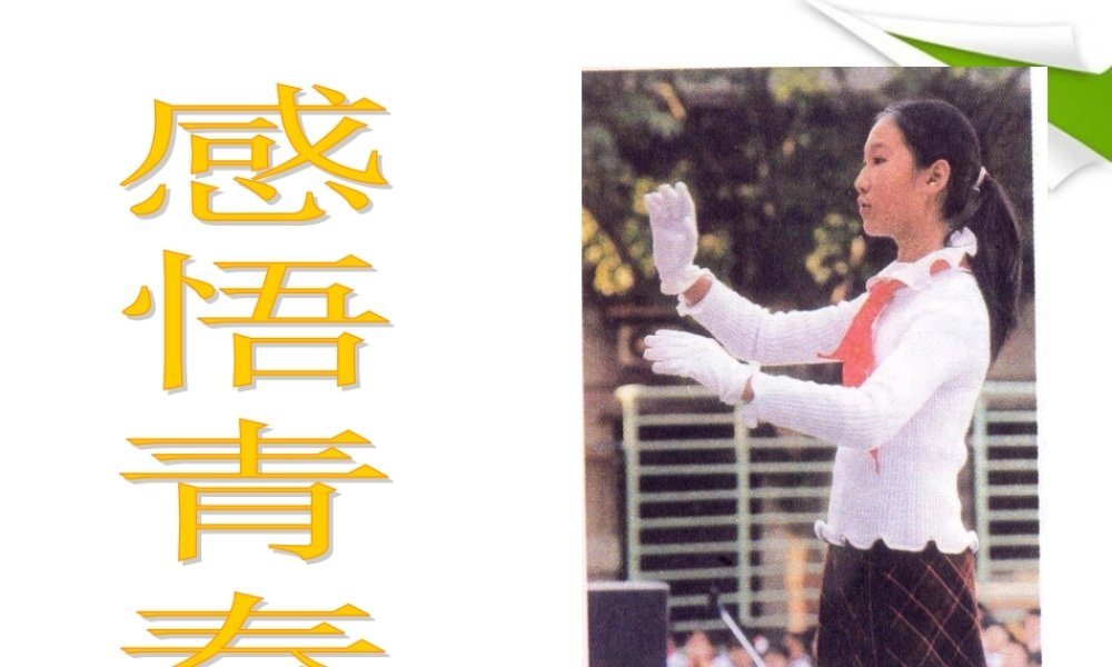 七年级政治上册 感悟青春1课件 人教新课标版 课件