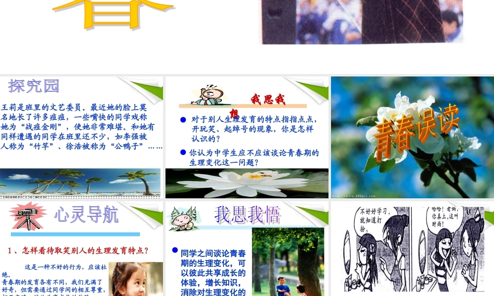 七年级政治上册 感悟青春1课件 人教新课标版 课件