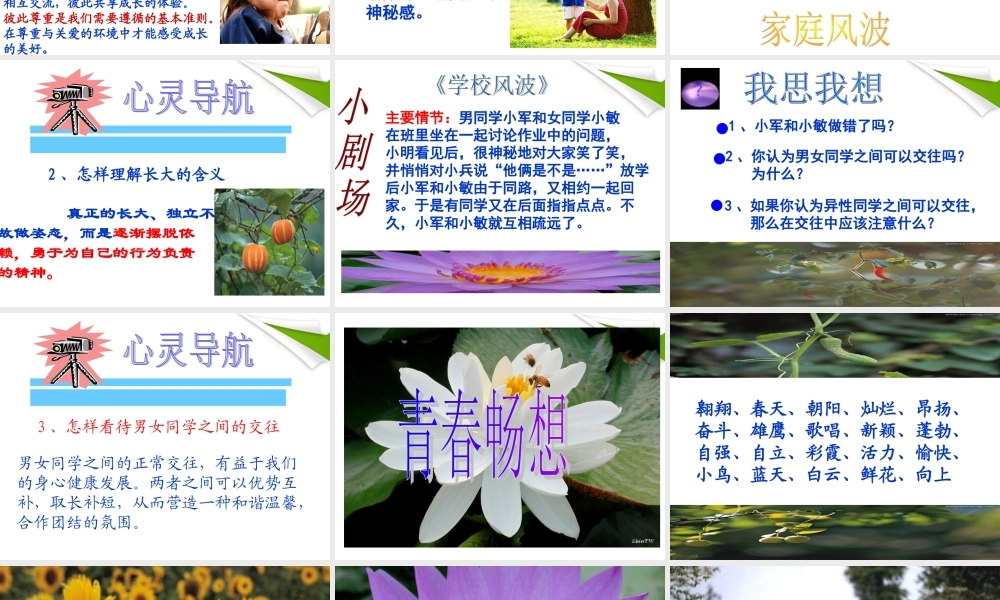 七年级政治上册 感悟青春1课件 人教新课标版 课件