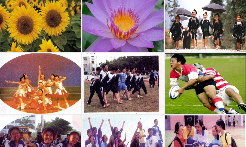 七年级政治上册 感悟青春1课件 人教新课标版 课件