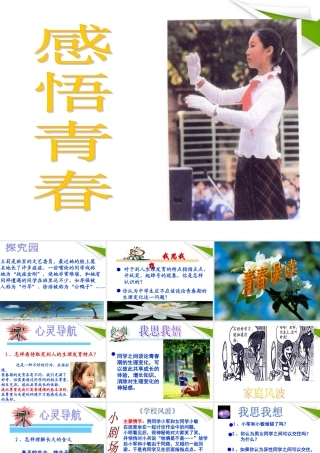 七年级政治上册 感悟青春1课件 人教新课标版 课件