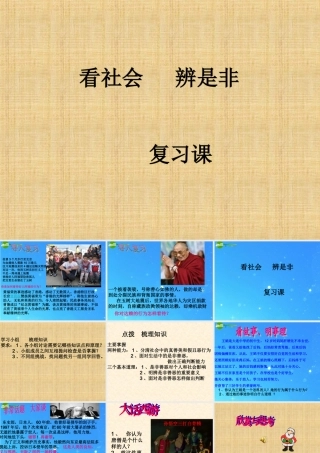 七年级政治下册 第十七课(看社会 辨是非)复习课件 鲁教版  课件