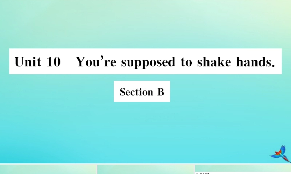 (河南专版)九年级英语全册 Unit 10 You re supposed to shake hands Section B习题课件 (新版)人教新目标版 课件