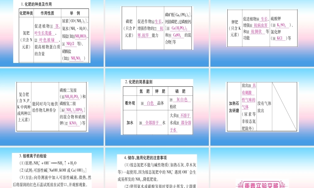 (湖北专版)中考化学总复习 第1部分 教材系统复习 九下 第11单元 盐 化肥习题课件2 课件