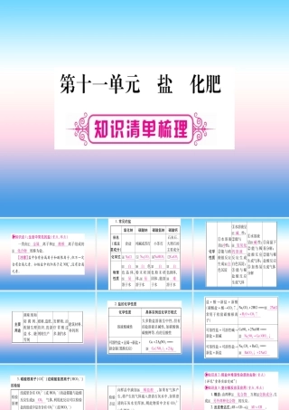 (湖北专版)中考化学总复习 第1部分 教材系统复习 九下 第11单元 盐 化肥习题课件2 课件