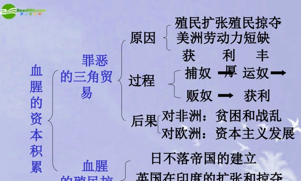 九年级历史上册 (殖民地人民的抗争)课件 人教新课标版 课件