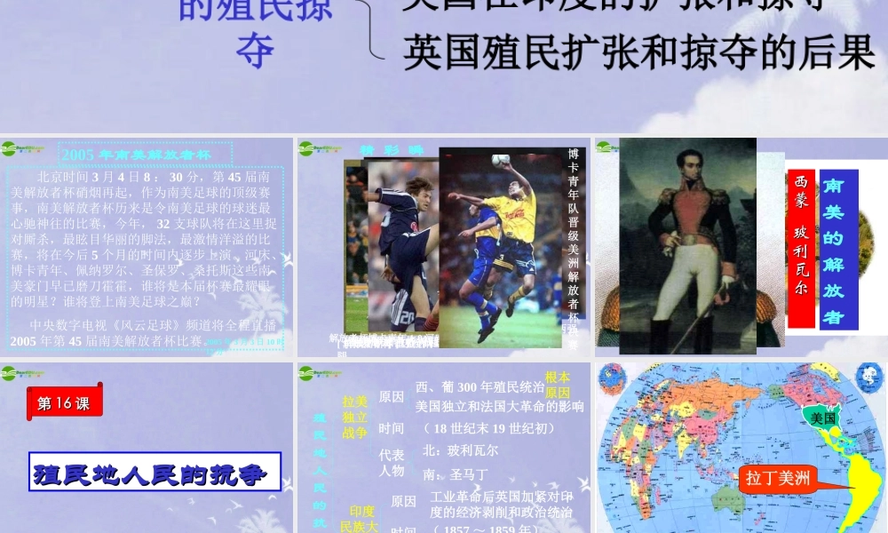 九年级历史上册 (殖民地人民的抗争)课件 人教新课标版 课件
