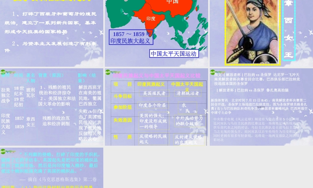 九年级历史上册 (殖民地人民的抗争)课件 人教新课标版 课件