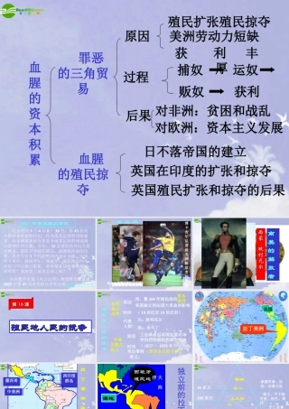 九年级历史上册 (殖民地人民的抗争)课件 人教新课标版 课件