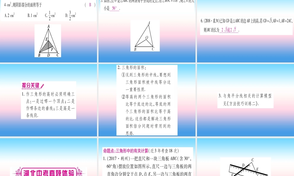 (湖北专版)中考数学总复习 第1轮 考点系统复习 第4章 三角形 第2节 一般三角形及其性质习题课件