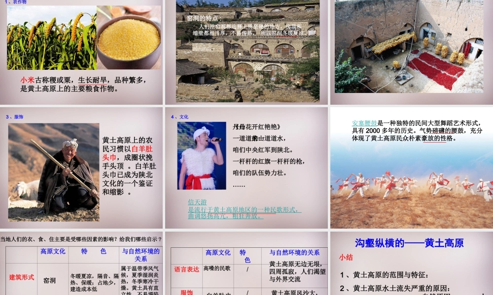 七年级历史与社会下册 第六单元 第1课 第2框(沟壑纵横的黄土高原)课件2 人教版 课件