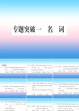 (湖北专用版)版中考英语专题高分练 专题突破一 名词实用课件
