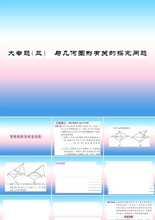 (课标版通用)中考数学总复习 第三轮 大专题突破 挑战满分 大专题(五)习题课件