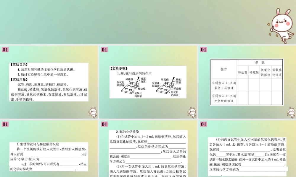 九年级化学下册 第十单元 酸和碱 实验活动6 酸、碱的化学性质习题课件 (新版)新人教版 课件