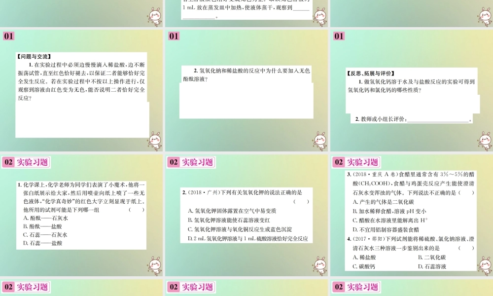 九年级化学下册 第十单元 酸和碱 实验活动6 酸、碱的化学性质习题课件 (新版)新人教版 课件