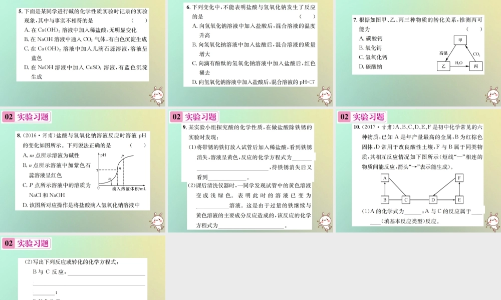 九年级化学下册 第十单元 酸和碱 实验活动6 酸、碱的化学性质习题课件 (新版)新人教版 课件