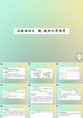 九年级化学下册 第十单元 酸和碱 实验活动6 酸、碱的化学性质习题课件 (新版)新人教版 课件