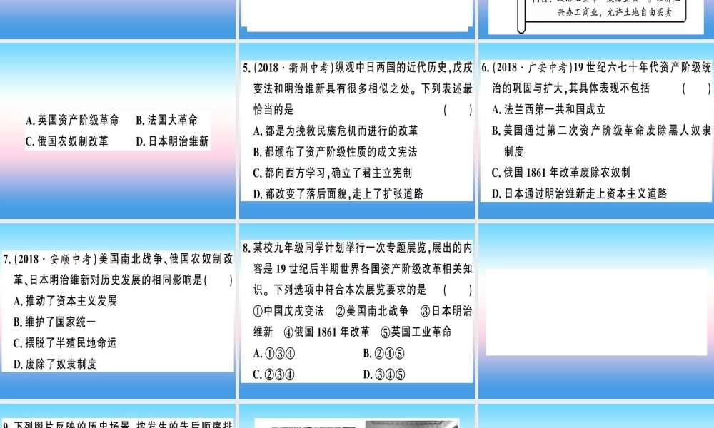 九年级历史下册 期末专题复习 专题一 资产阶级统治的扩大习题课件 新人教版 课件