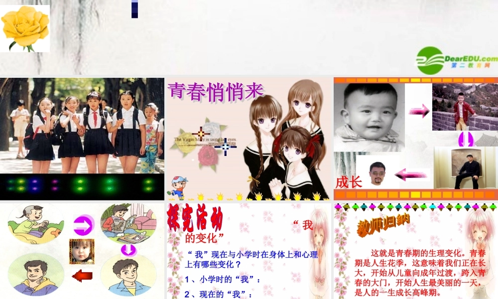 七年级政治上册 走进青春教学课件 人教新课标版 课件