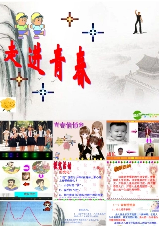 七年级政治上册 走进青春教学课件 人教新课标版 课件
