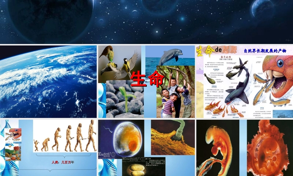 七年级思想品德下册 第十四课(生命只有一次)课件 苏教版 课件