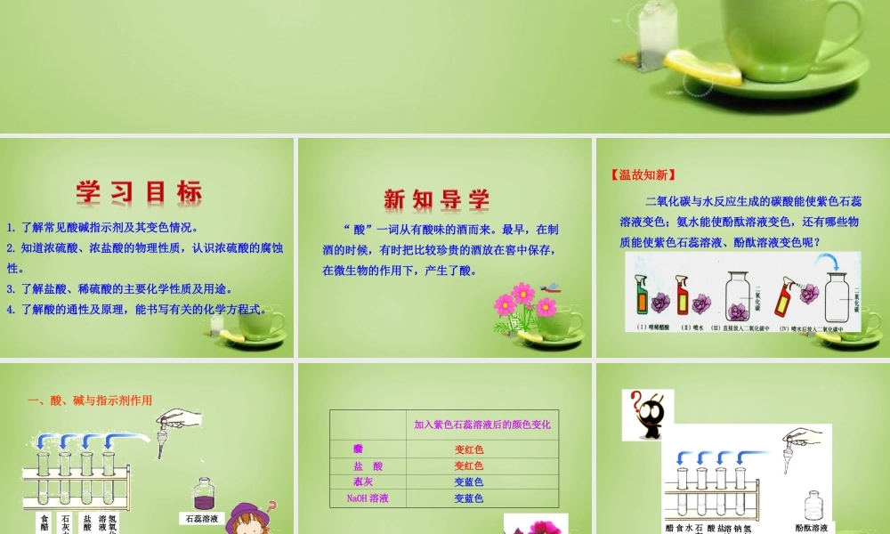 九年级化学下册 第10单元 课题1 第1课时 常见的酸课件 (新版)新人教版 课件